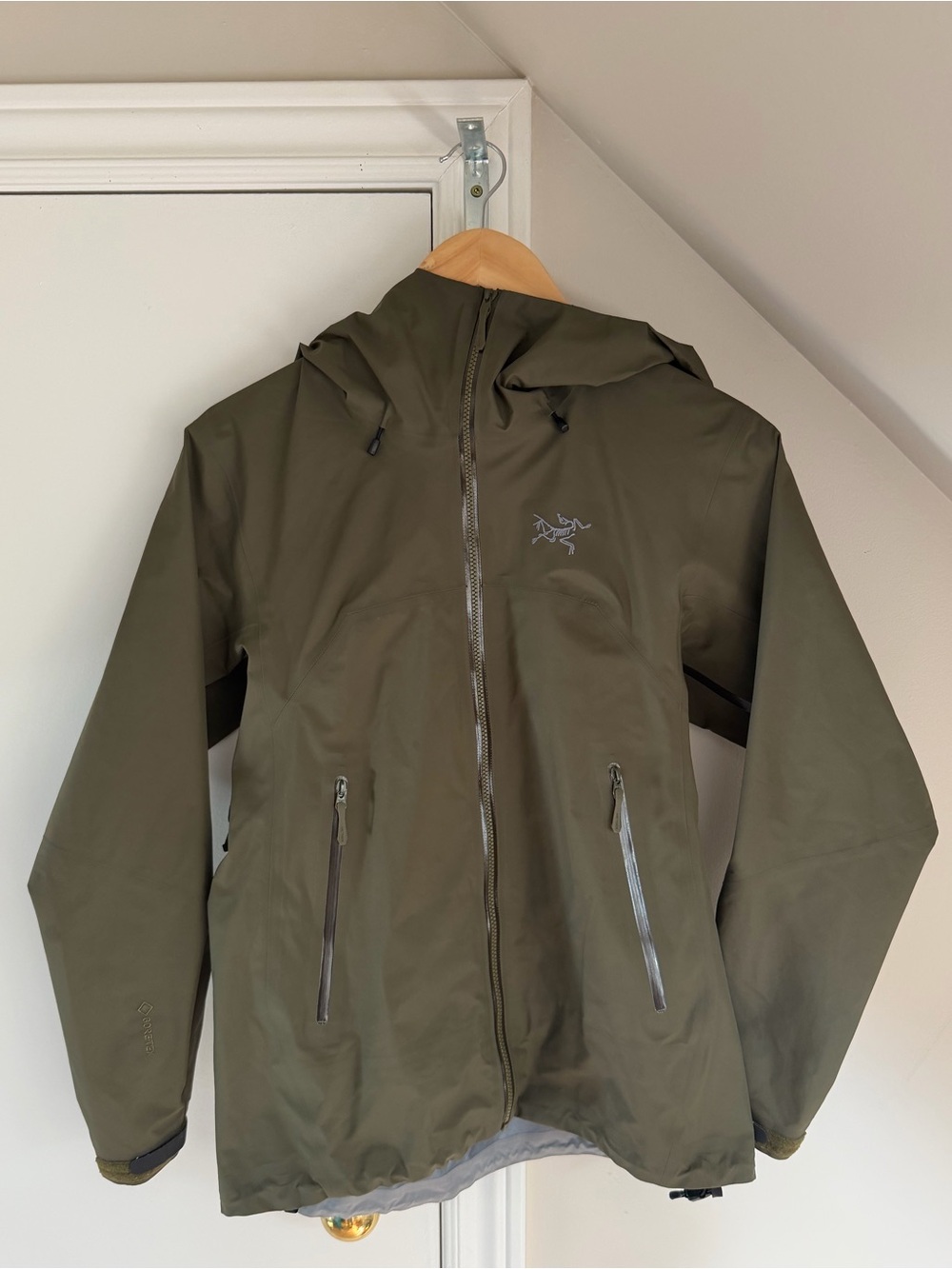 Arc'teryx Women's beta SL (Tatsu color) Waterproof Hooded Shell Jacket